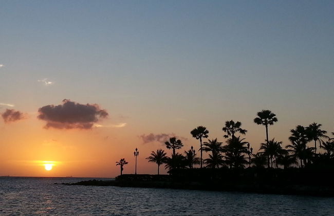 Le Chateau Ocean Villas - Foto 42