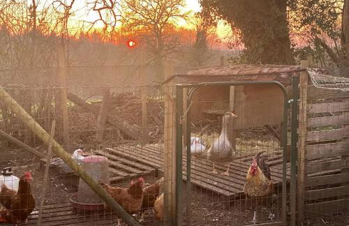 Villa spacieuse à Prailles-La Couarde avec piscine privée 100 m² ! - Foto 23