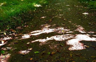 Strandzone 29 - Foto 46