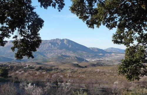 Cortijo La Estrella - Foto 66