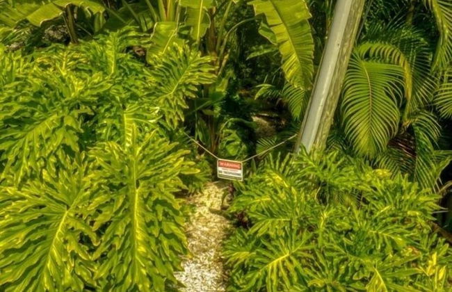 Little Current 3 Bedroom Home by RedAwning - Foto 21