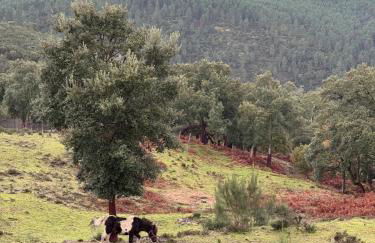 Casa do Esquilo - Foto 28