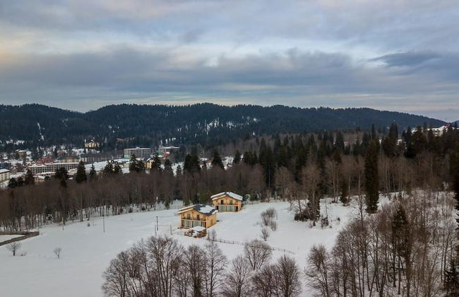 villa by sunexpress bakuriani - Foto 43