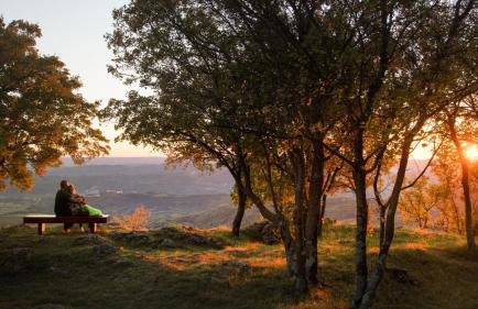 Villa Ucka Nature Retreat by Villas Guide - Foto 9