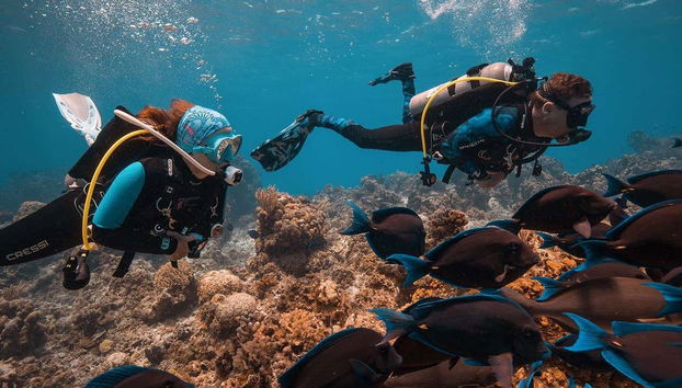 Scuba Diving in Cozumel - Foto 4