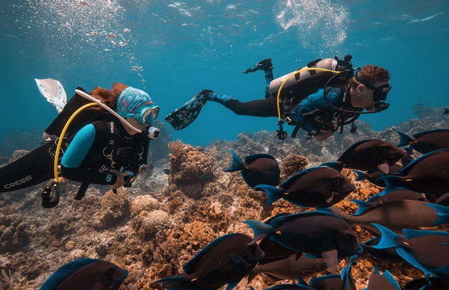 Buceo en Cozumel - Foto 4