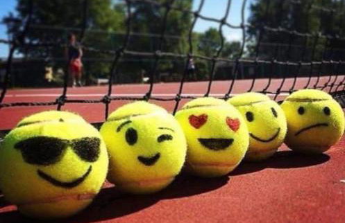 Le Vaugerin - Foto 44