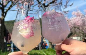 Ferienwohnung Freiraum - Foto 10