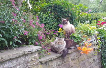 Hoffmanns-Hof-Sinspert - Foto 26