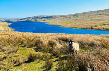 Fox Cottage - Cosy Stay on Pateley High Street - Photo 36