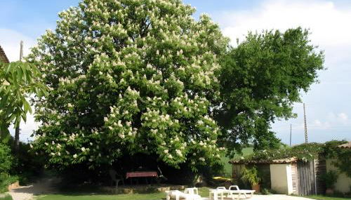 Appartement 2 - Foto 2