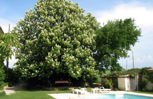 Appartement 2 - Foto 2