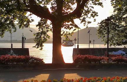 Lily Lake Maggiore - Foto 18