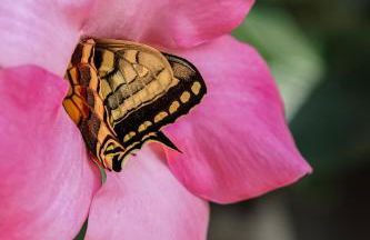 Casa di Gio - Foto 49