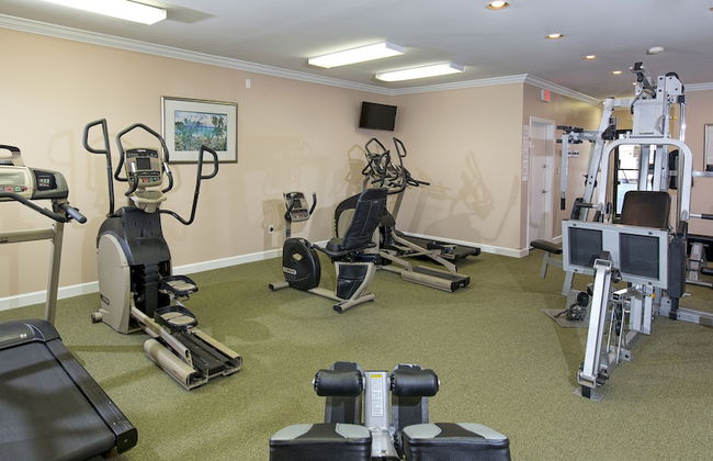 Sands Beach Club - Foto 33