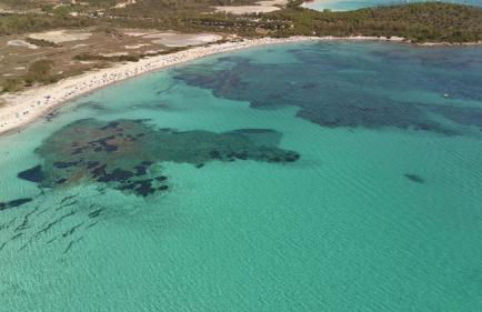 CasaNica - Elegant independent apartment - Foto 23