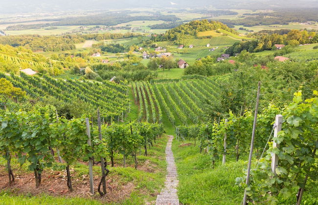 Tourist Farm Skrbina Apartment 2 - Foto 16