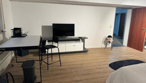 Ferienwohnung in der Nähe des Europa-Park Rust mit Terrasse und Grill - Foto 4