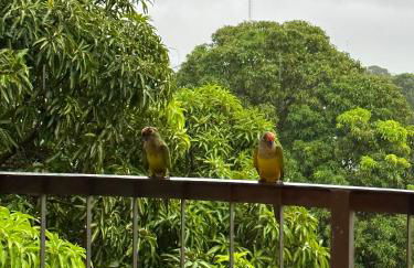 Apê Central Bonito - Foto 12