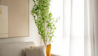 Cituspace Sandoval - Foto 3