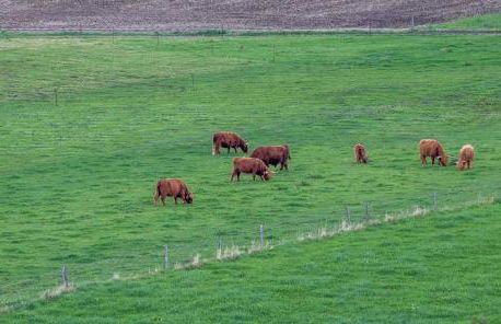Apartment Sternenhimmel I Aufzug I Stellplatz I Modern - Foto 22
