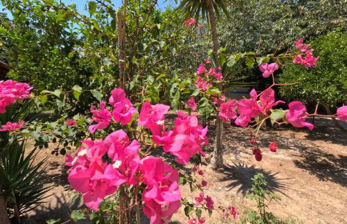 Kalliope Premium Apartment - Foto 15