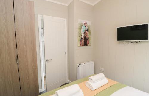 The Gallops - Foto 16