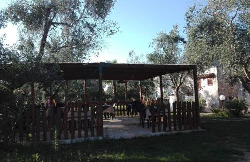 Agriturismo Masseria Pallanzano CON PISCINA - Foto 54