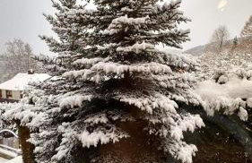 Góralska Chata & Spa - Foto 32