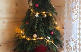 Domek Pod Lasem - Foto 25