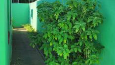 Casa e Conforto - Foto 5, Garden