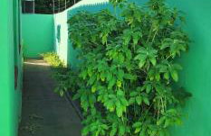 Casa e Conforto - Foto 5