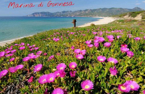 Appartamento La Collinetta - Foto 31