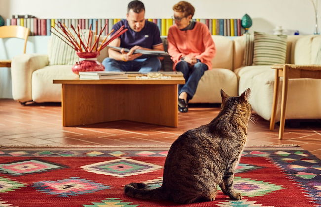 Affitacamere Maria Gabriella - Foto 4