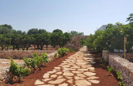 Agriturismo Vòioro - Foto 21