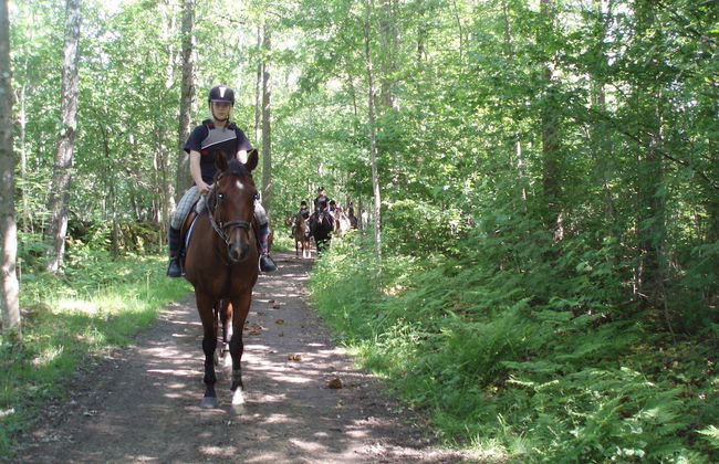 Tingsryd Resort - Foto 50