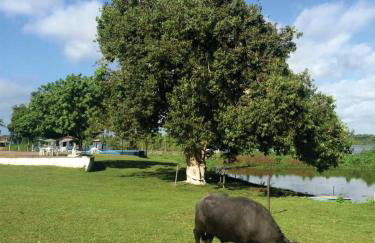 Pousada Marajoara- Hotel Fazenda-Turismo de Aventura - Photo 20