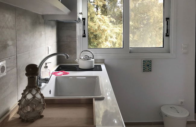 Blue Fort - Photo 69