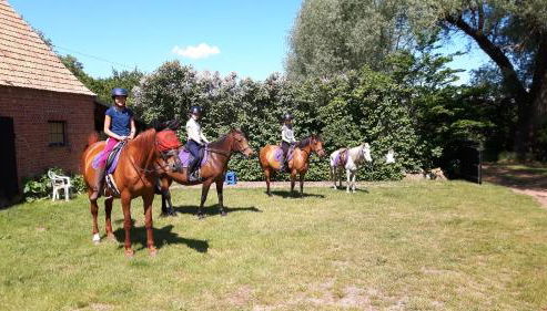 Hof-Silberweide - Foto 4