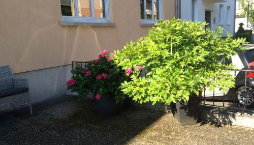 Heidelberg Appartements Berger - Foto 5