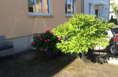 Heidelberg Appartements Berger - Foto 5