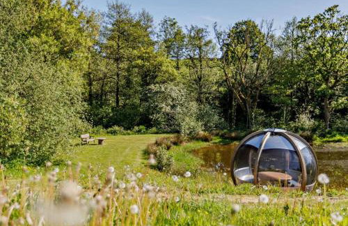 5 Bed in Tiverton oc-48151 - Foto 48