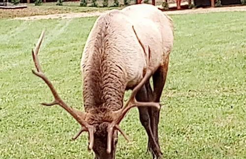 The Mountain Haven - Foto 24