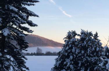 Ferienwohnung Gürth - Foto 70