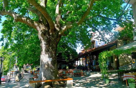 Rapsani Panorama Villa - Photo 57