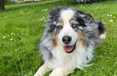 Maison à 800m de la plage - Foto 35