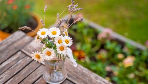 Casa Rural La Carretería - Foto 5, Garden view