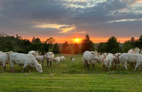 La Brossière - Foto 28