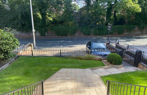 Ivy Mount Boutique - Foto 65