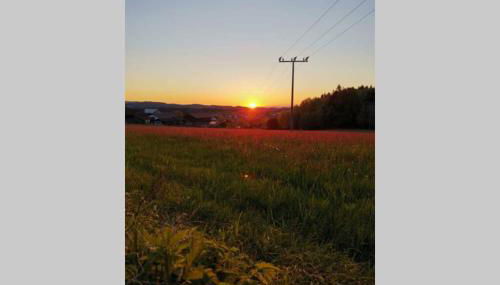 Ferienwohnung Ramona - idyllisch und charmant - Foto 4